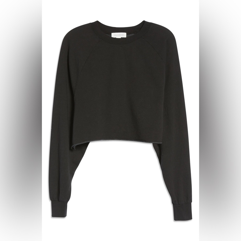 Treasure & Bond Black Cropped Sweatshirt